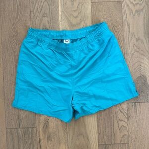 Aritzia shorts